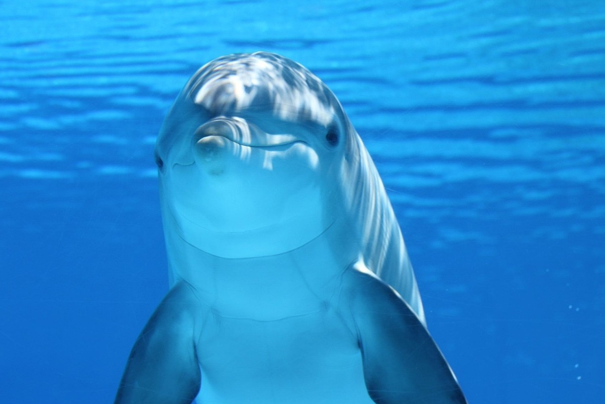 Segara Urip Hannover - Hannover | Secret World Trip Planner