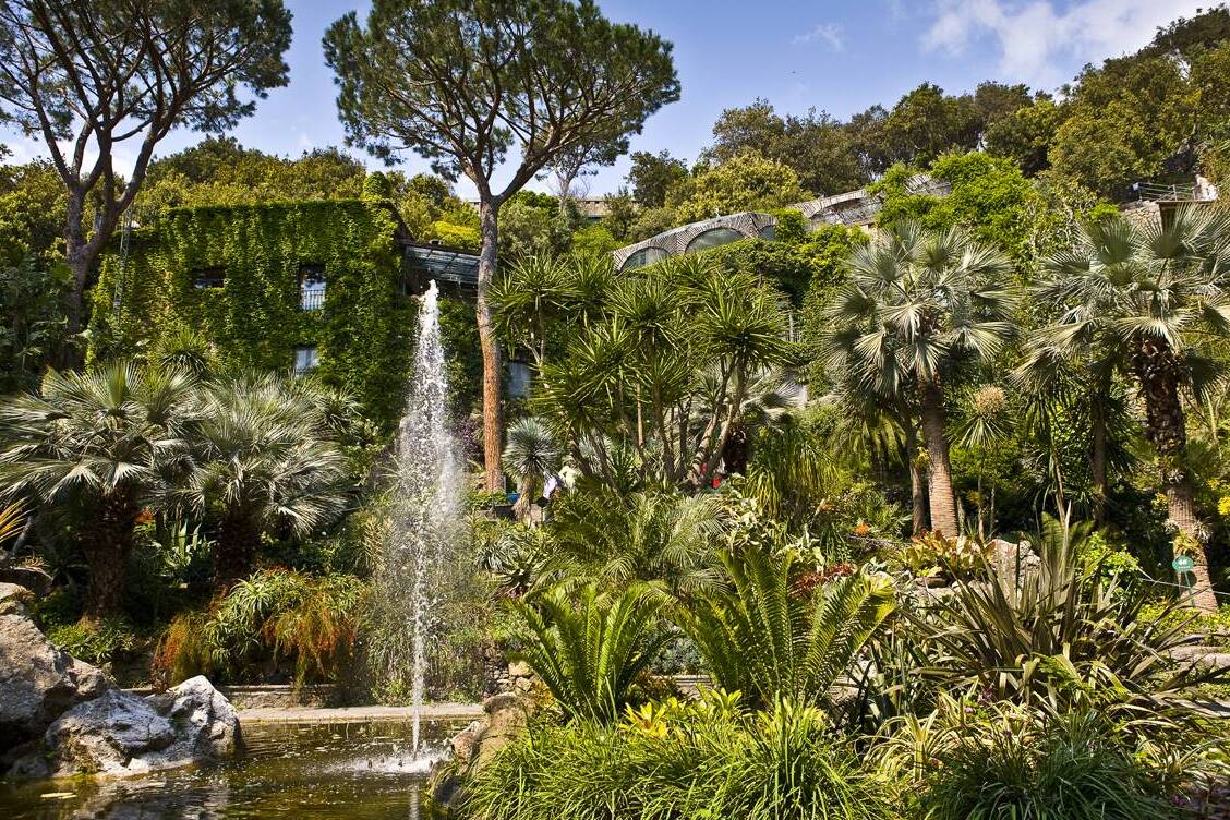 উইলিয়াম ওয়ালটন: টরাস (তুচ্ছতাচ্ছিল্য) এবং স্যার উইলিয়াম ওয়ালটন - Forio | Secret World Trip Planner