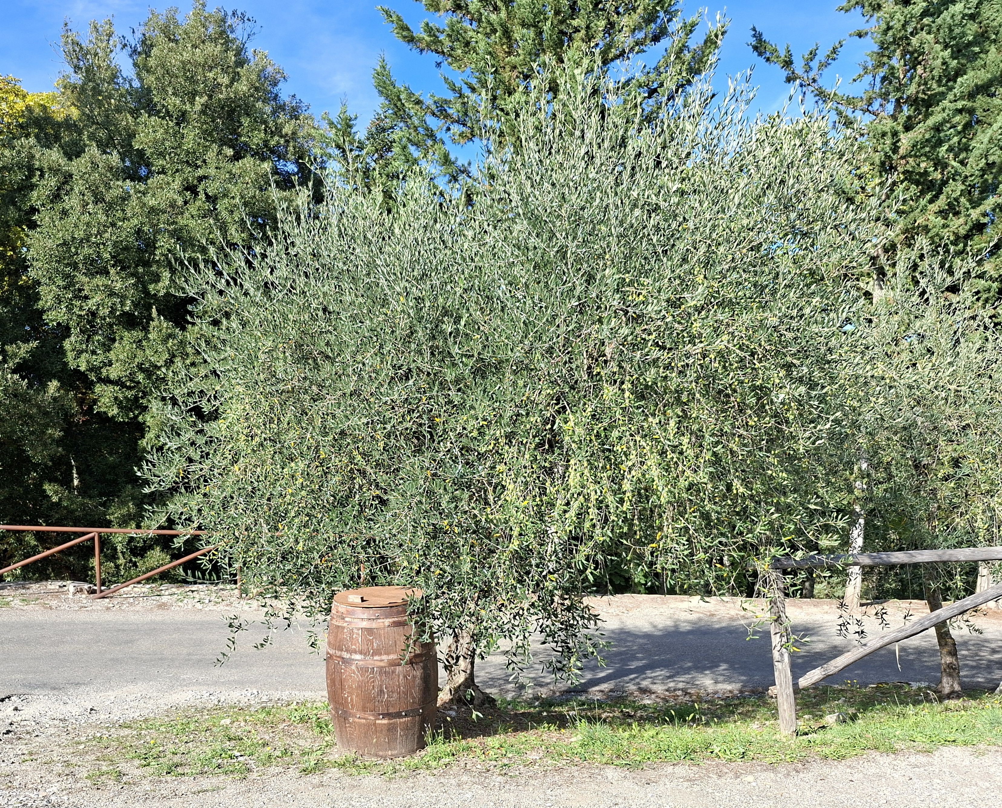 Divadlo zámku Meleto - Gaiole In Chianti | Secret World Trip Planner