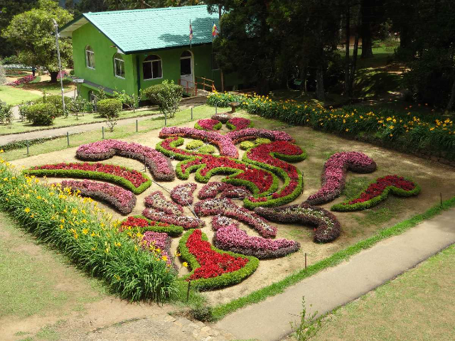 Hakgalos botanikos sodai - Distretto di Nuwara Eliya | Secret World Trip Planner