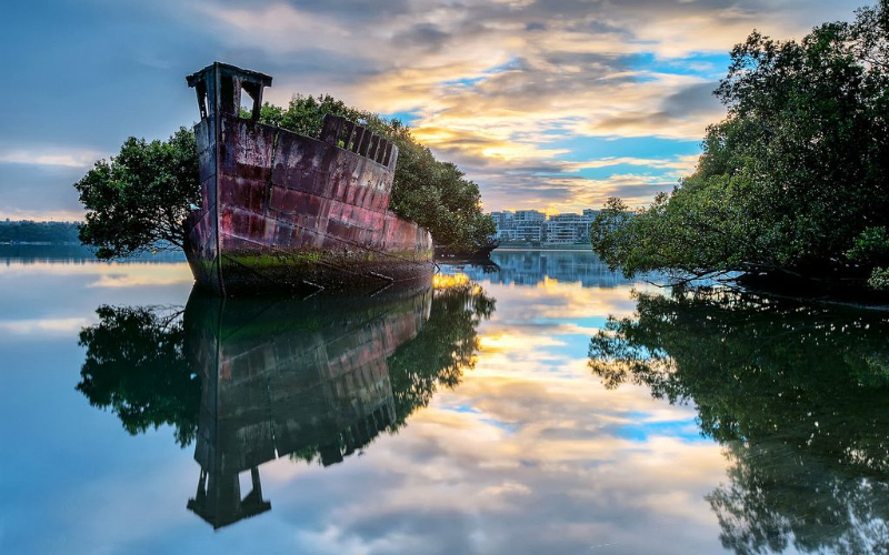 Mangrov kemasi - Homebush Bay or The Flats | Secret World Trip Planner