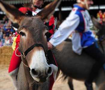 Preteky Tonna v Civita Bagnoregio - Civita | Secret World Trip Planner