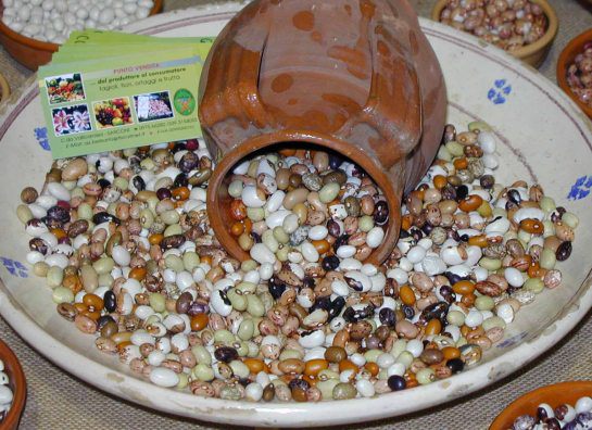 Haricots Sarconi IGP