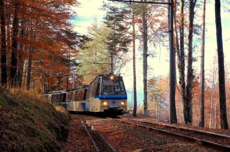 Liście z Centovalli Railway