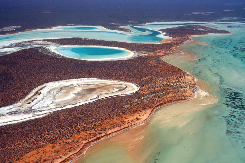 شارک بے، مغربی آسٹریلیا - Contea di Shark Bay | Secret World Trip Planner