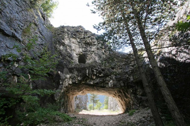 Fortet