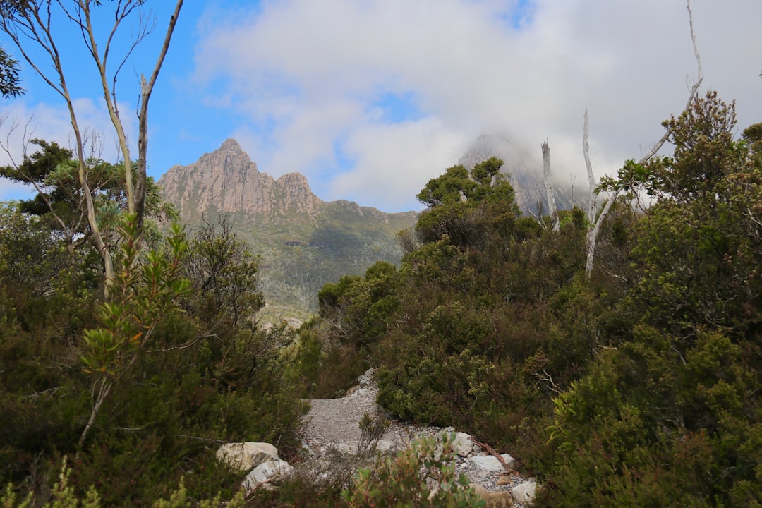 摇篮山陆上轨道的门 - Cradle Mountain | Secret World Trip Planner