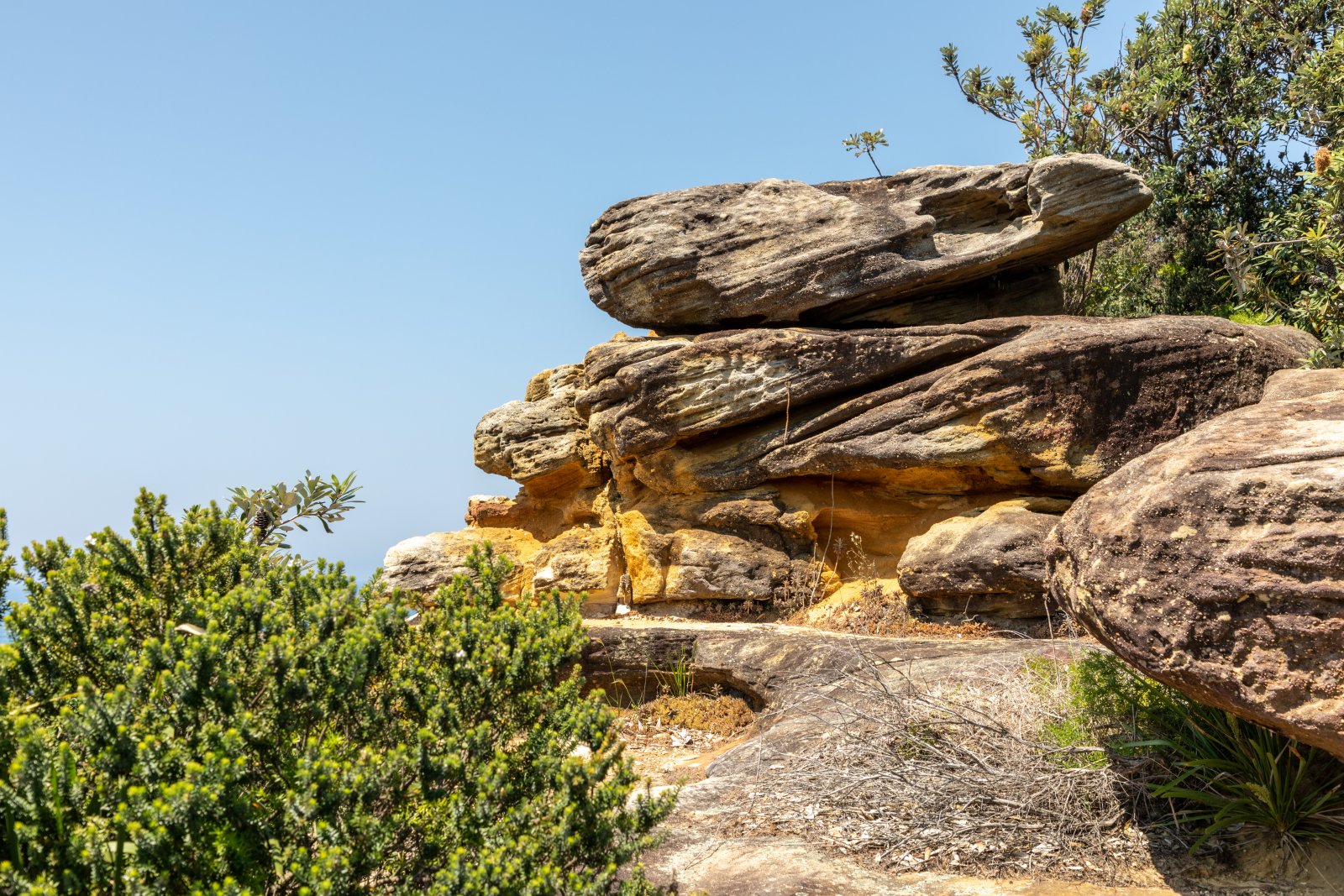 An Chónaidhm, Ar An Aill Siúl - Watsons Bay | Secret World Trip Planner