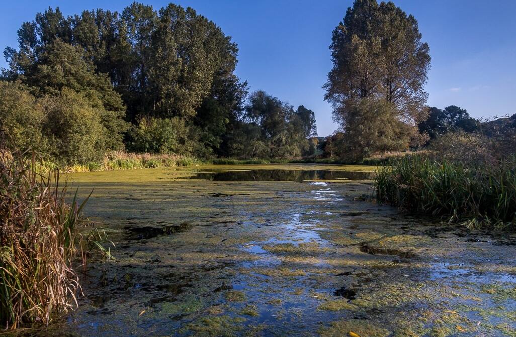 Parque Londesborough - York YO43 3LD | Secret World Trip Planner