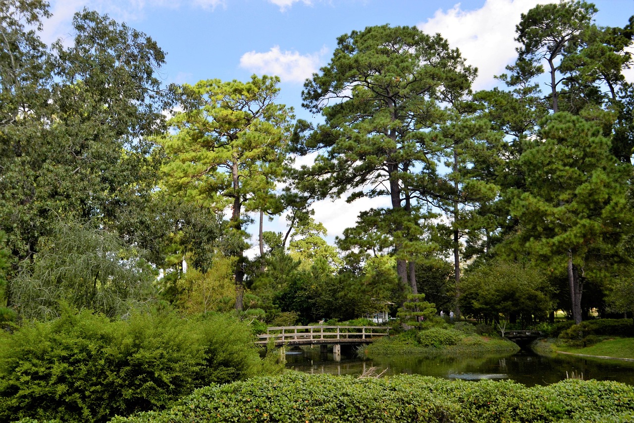 USA | Brookgreen Gardens - Murrells Inlet | Secret World Trip Planner