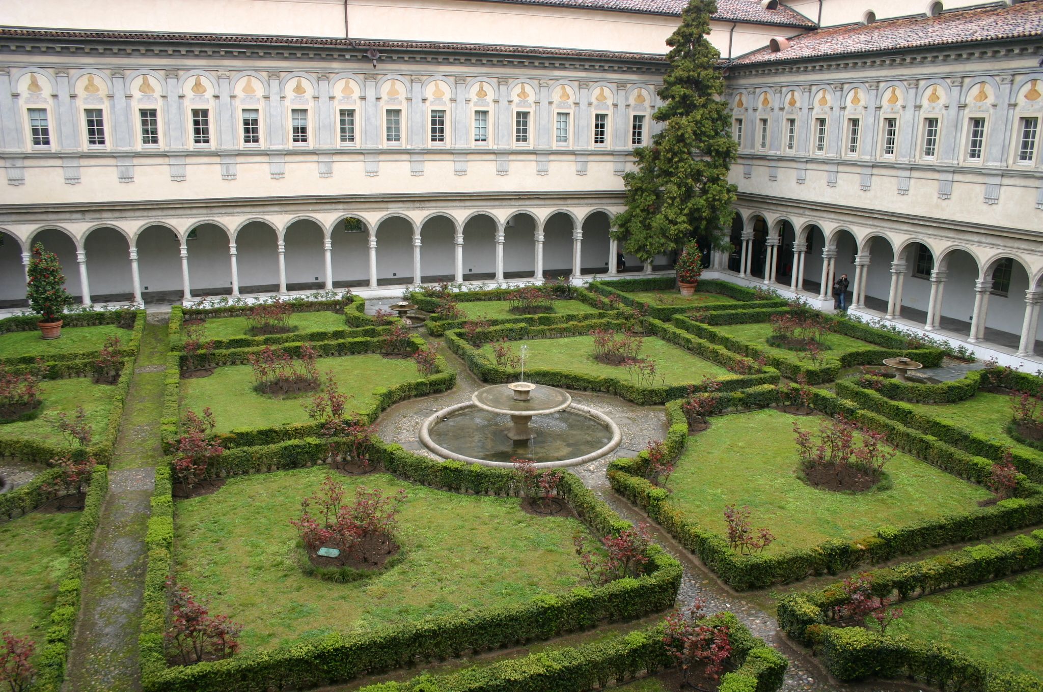 Basilíka San Simplex