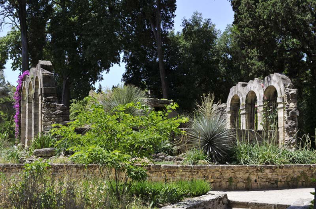 Have af planter - Montpellier | Secret World Trip Planner