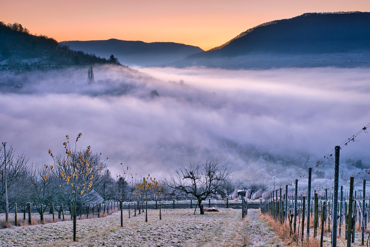 La Costa d'Oro dei Vigneti - Nuits-Saint-Georges | Secret World Trip Planner