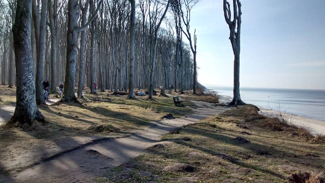 Vaiduoklių miškas Nienhagenas - Nienhagen | Secret World Trip Planner