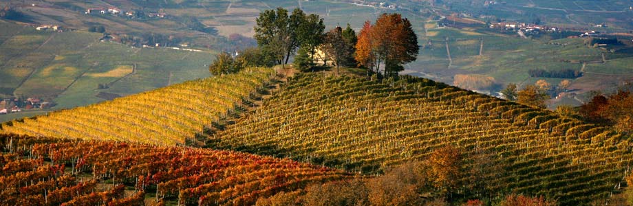 Бароло ба түүний дарс - Barolo | Secret World Trip Planner
