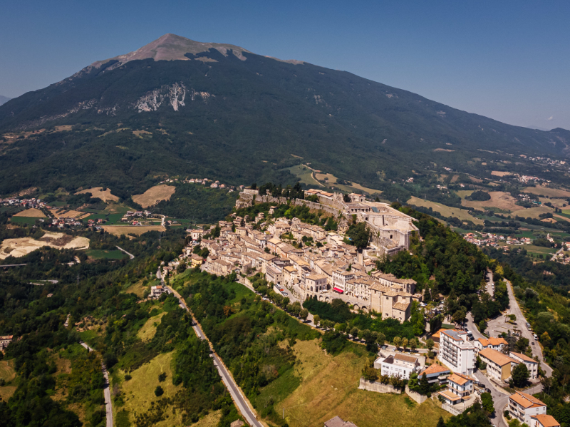 Del Tronto