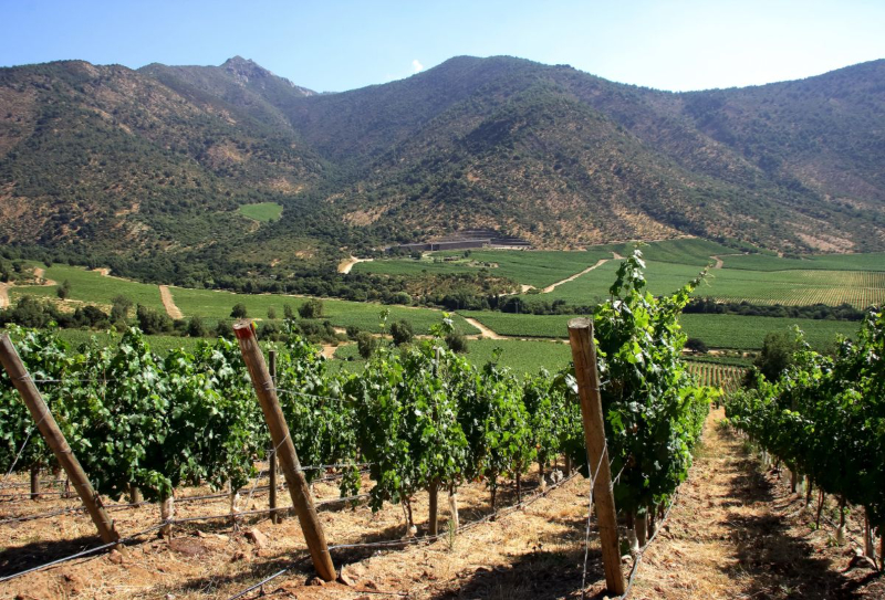 Sabores del Valle, Chile