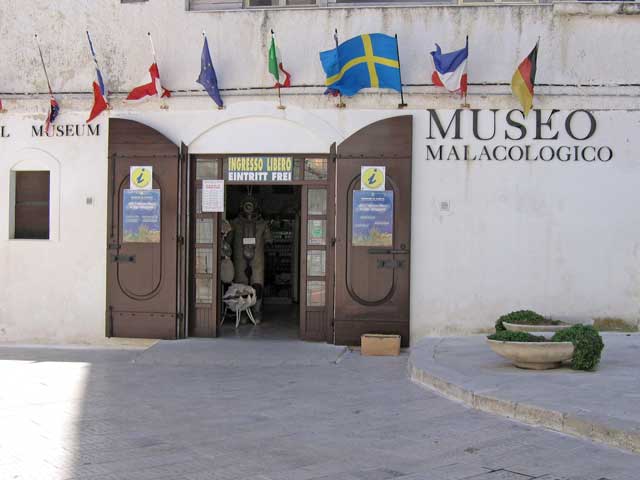 Malakologické Muzeum