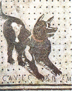 Casa del poeta tragico