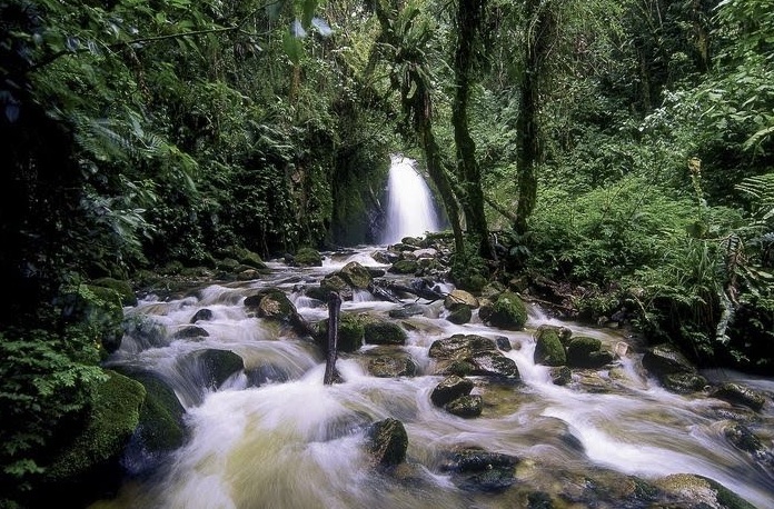 マチュピチュと隠された二つの小さな滝。 - Aguas Calientes | Secret World Trip Planner