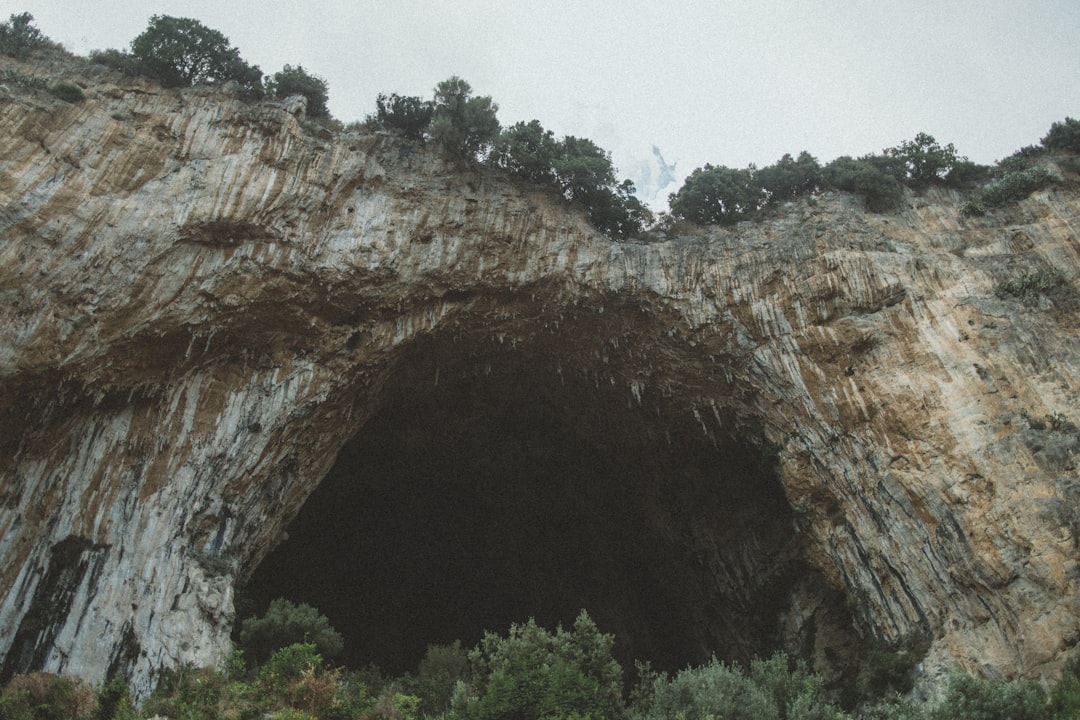 洞穴肖维-蓬d'arc-史前艺术的杰作。 - Vallon-Pont-d'Arc | Secret World Trip Planner