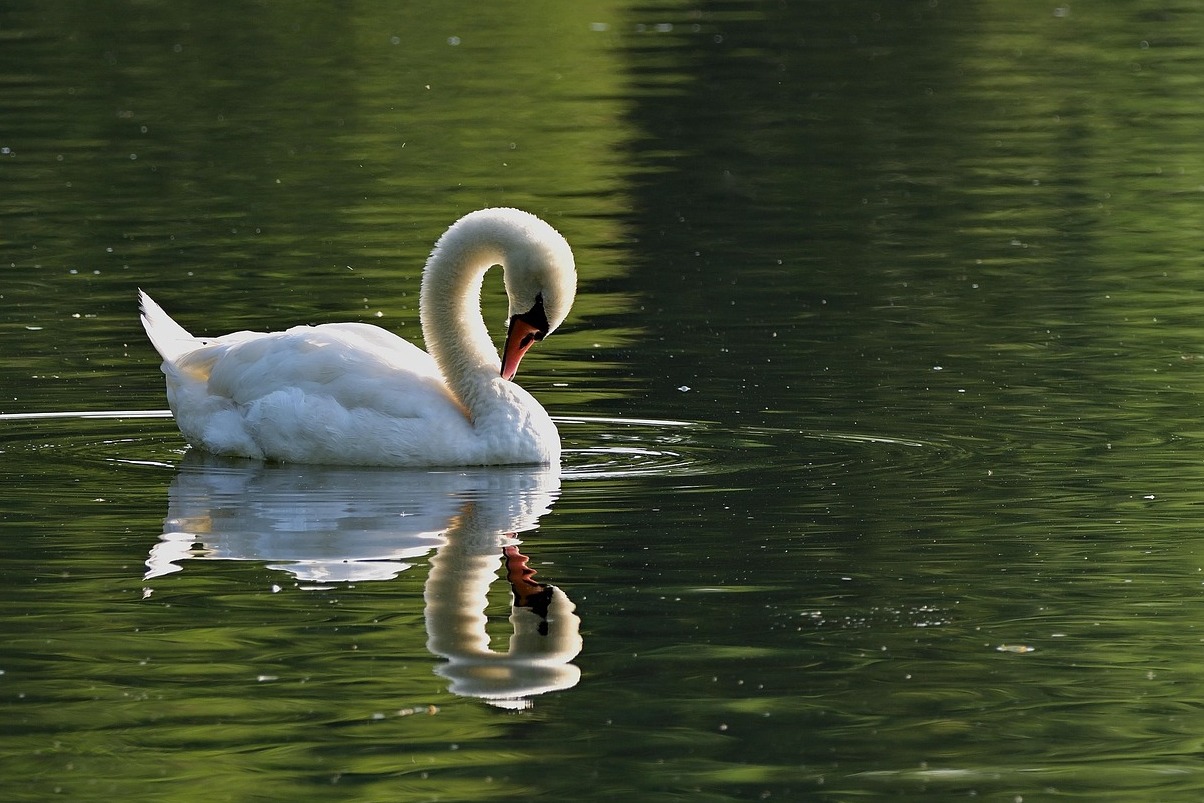 Winnipeg je Assiniboine Park a Zoo - Winnipeg | Secret World Trip Planner