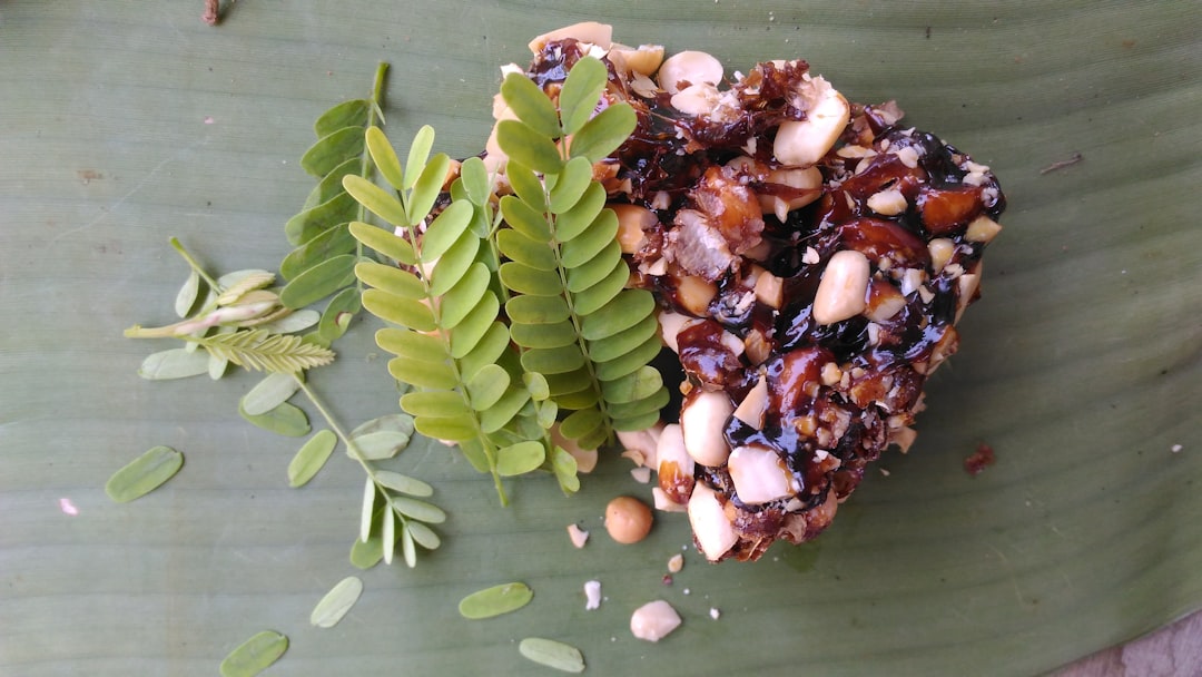 Chikki，传统的印度甜 - Delhi | Secret World Trip Planner