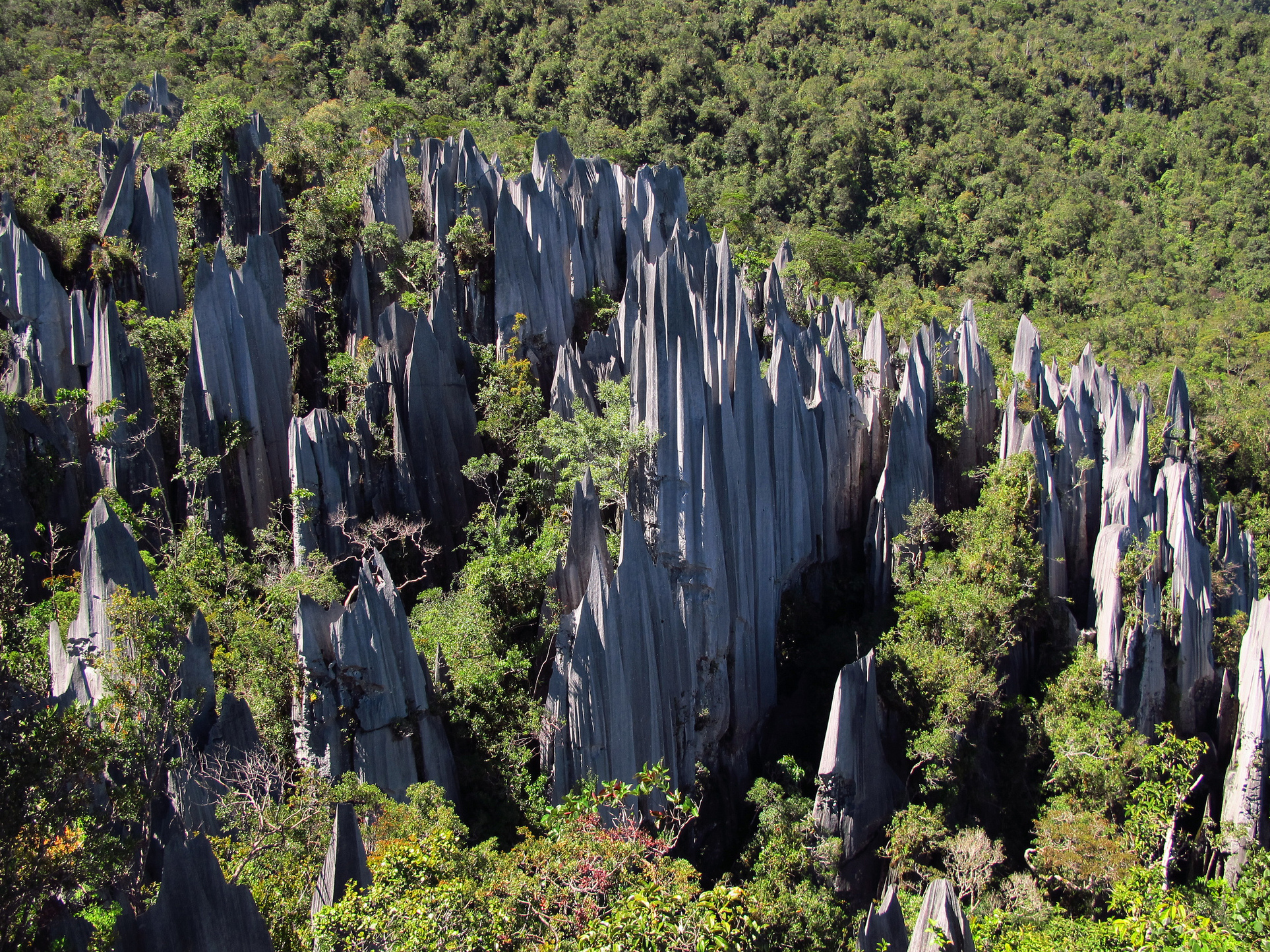 Gunung Mulu National Park in Borneo - Sarawak | Secret World Trip Planner