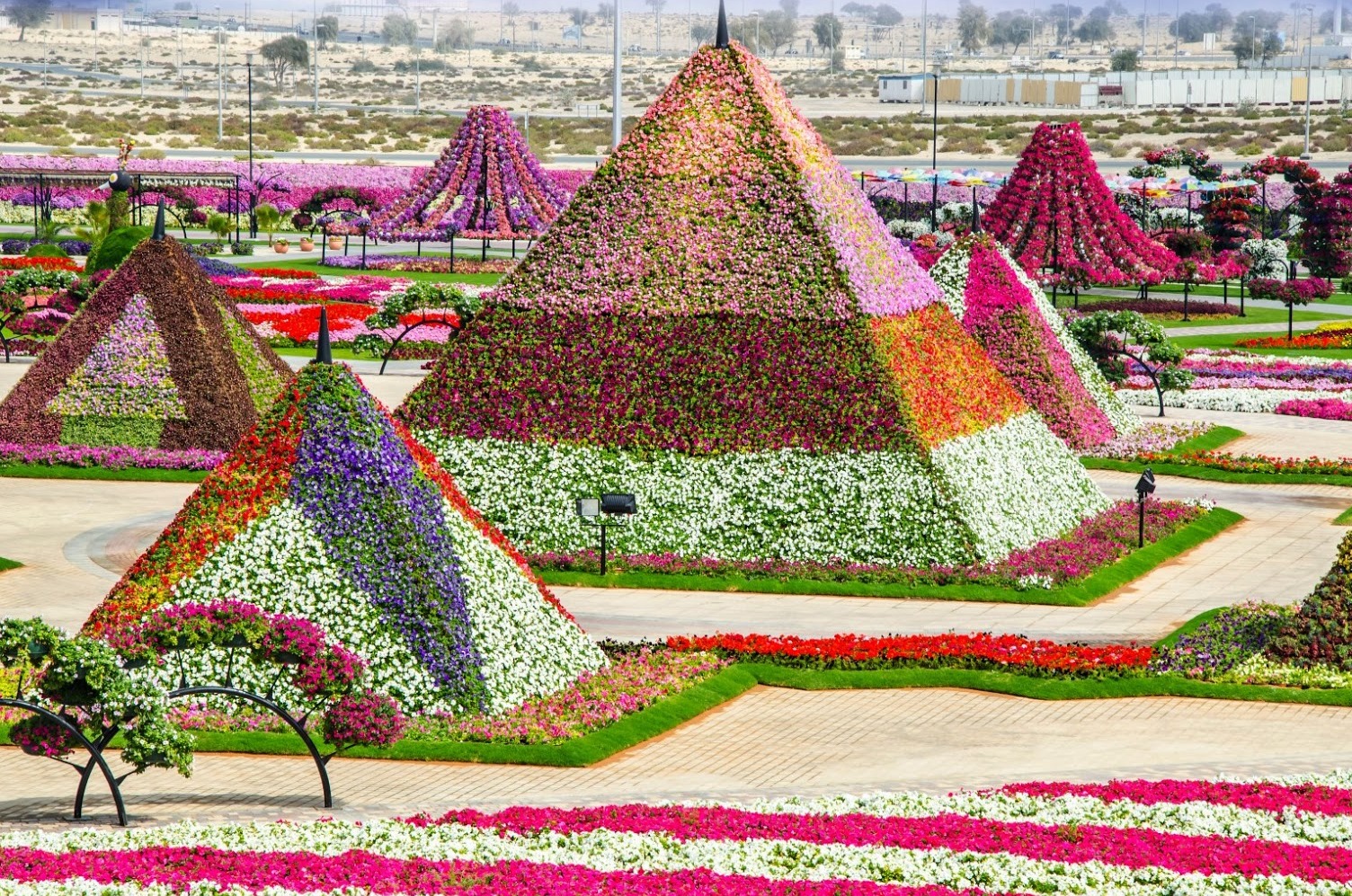The Dubai Miracle Garden - Dubai | Secret World Trip Planner