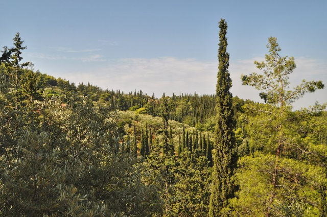 Mosteiro e floresta de Kaisariani, - greece greece | Secret World Trip Planner