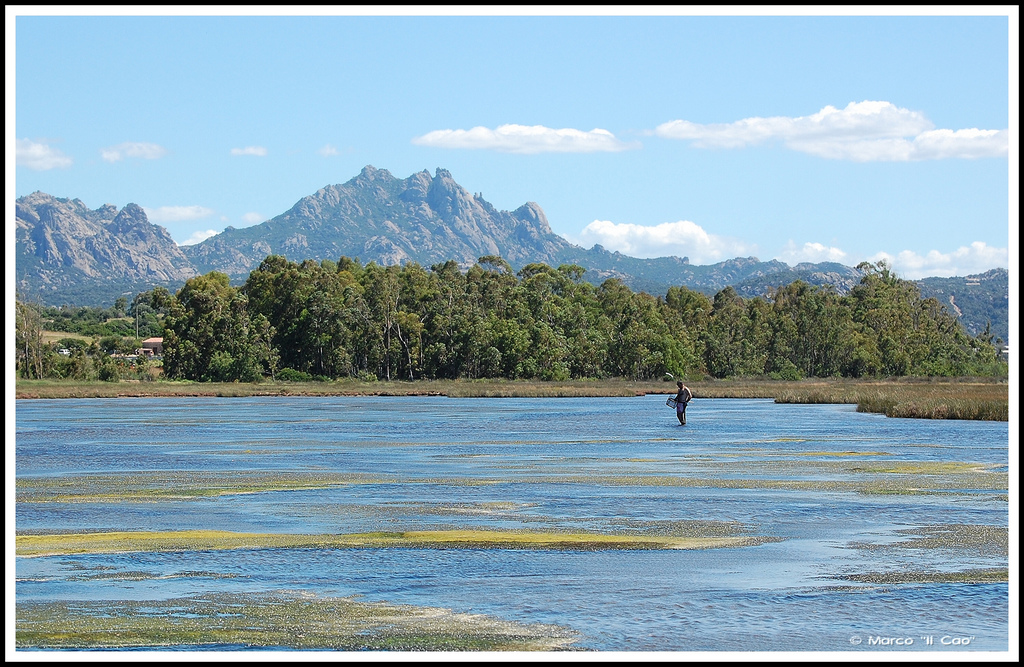 Salones Pond