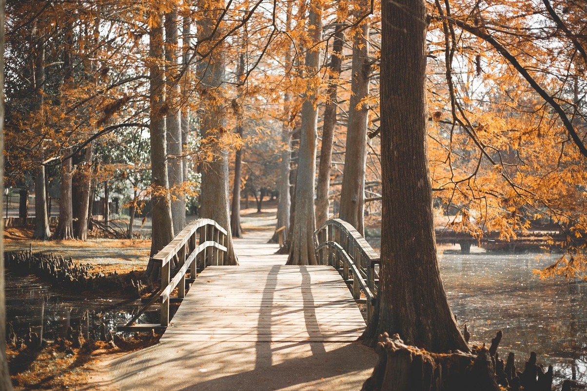 Neskuchny Garden, the oldest park in Moskva - Moskva | Secret World Trip Planner