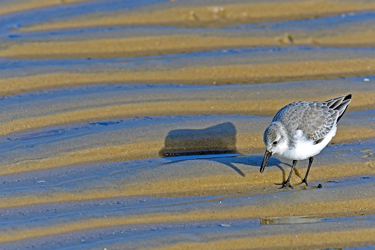 Alba Fucens, l'ancienne ville romaine - 67050 Massa D'albe AQ | Secret World Trip Planner