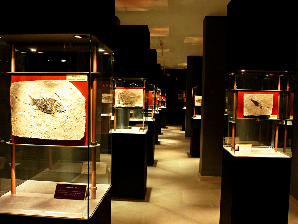 Paleolab Jeo-paleontoloji Parkı