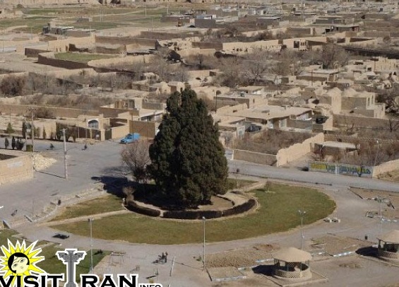 قدیمی ترین سه :سرو ابرکوه (سرو ابرکوه) - Abarqu | Secret World Trip Planner
