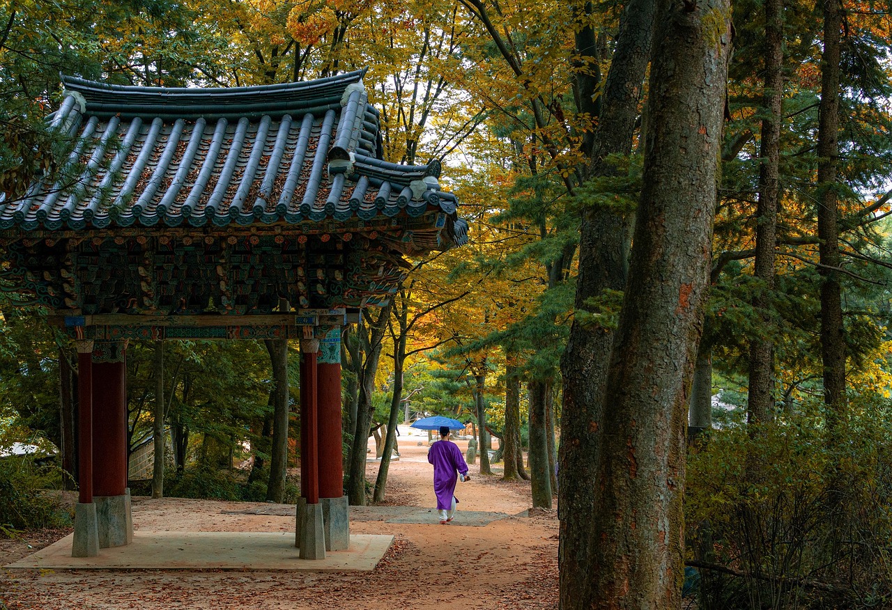 Hanok, kaimas su daugiau nei 400 tradicinių Korėjos namų - Jongno-gu | Secret World Trip Planner