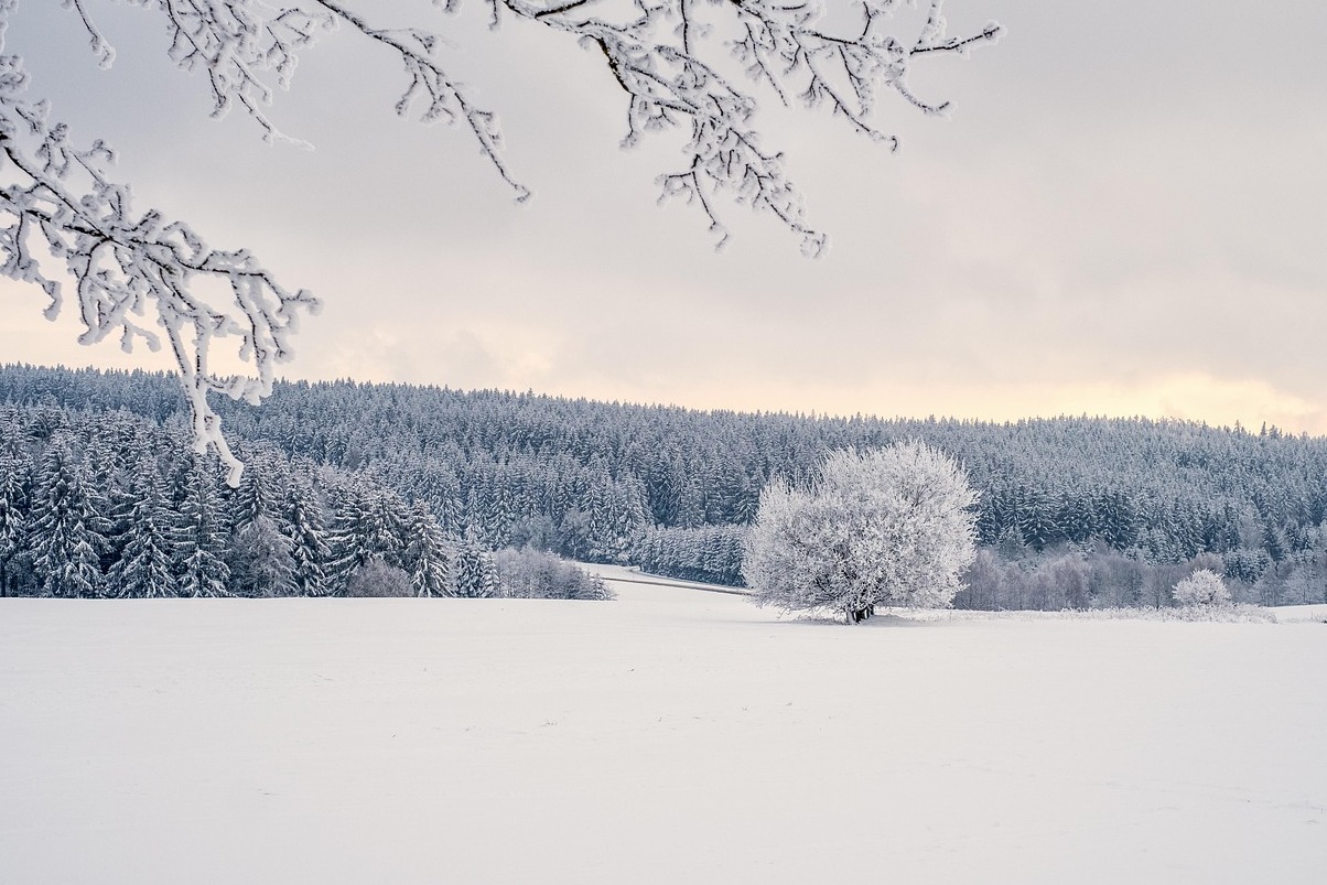 Innsbruck, o Markthalle é un mercado cuberto - Innsbruck | Secret World Trip Planner