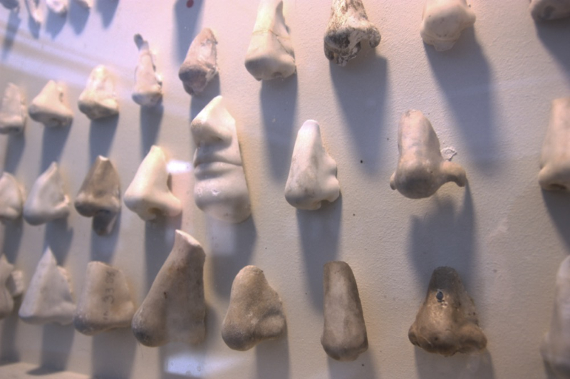 Nasothek Nose Collection