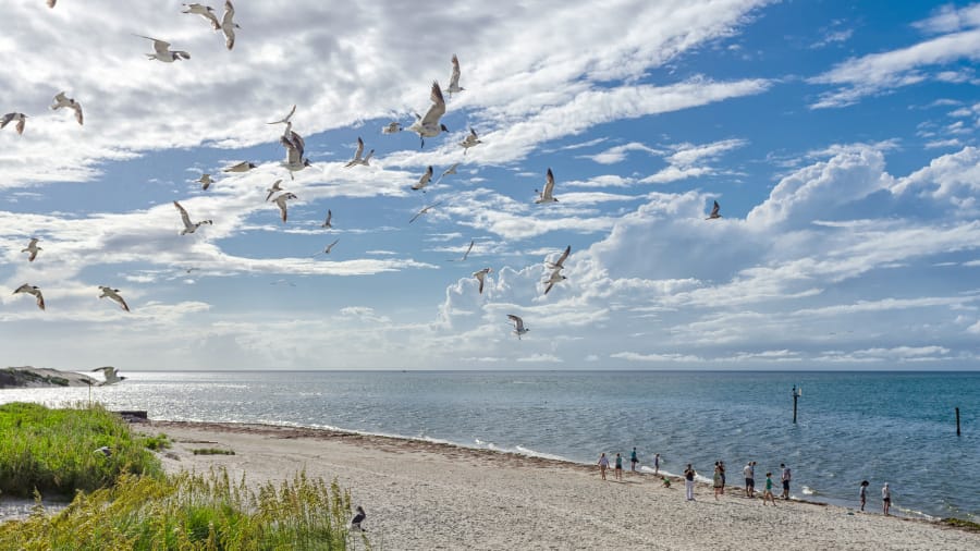 Insel Ocracoke: Die Perle der Outer Banks... - Secret World