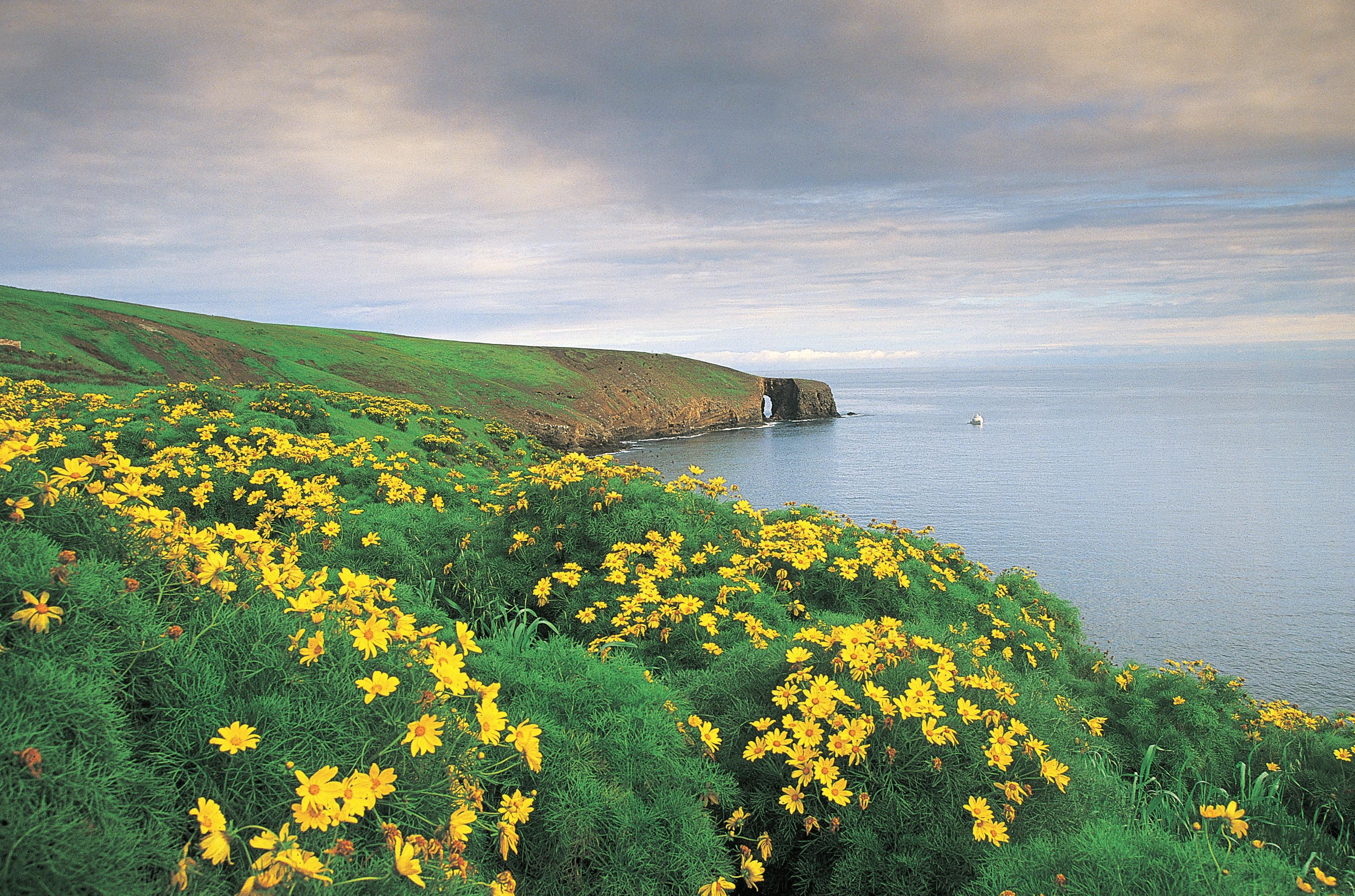 Santa Barbara Island in the California Channel: the smallest island, the quietest crossing