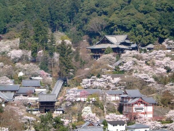 Hasedera Temple in Nagano-Shi - Nagano-shi | Secret World Trip Planner