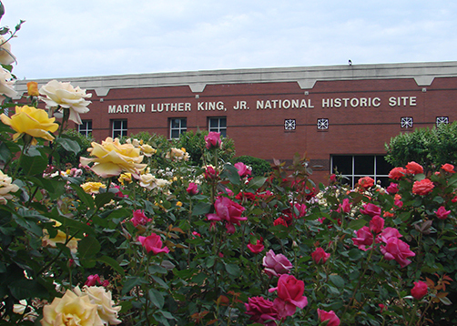 Eu tenho um sonho Jardim de rosas Paz Mundial - Atlanta | Secret World Trip Planner