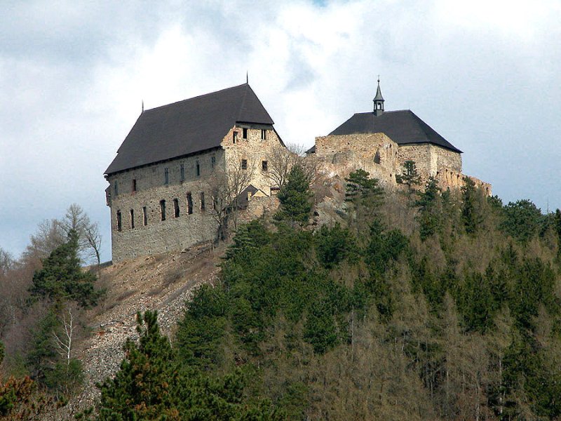 Le château de la forêt