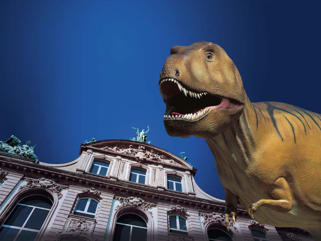 Natural History Museum - Frankfurt am Main | Secret World Trip Planner