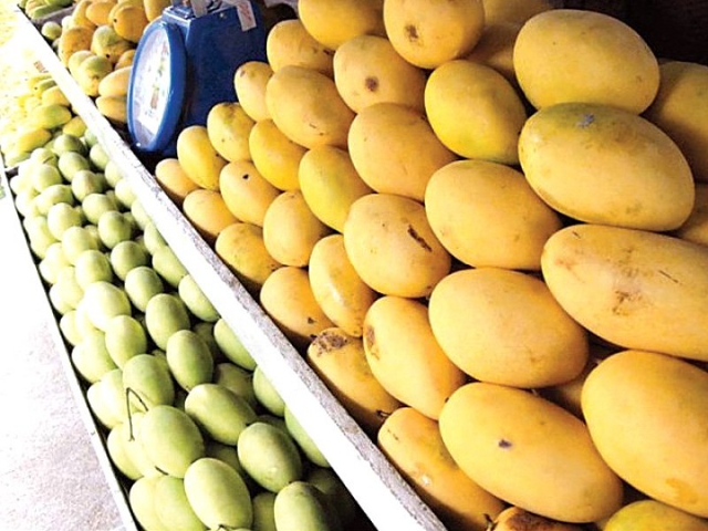 Chaunsa mango - Kurukshetra | Secret World Trip Planner