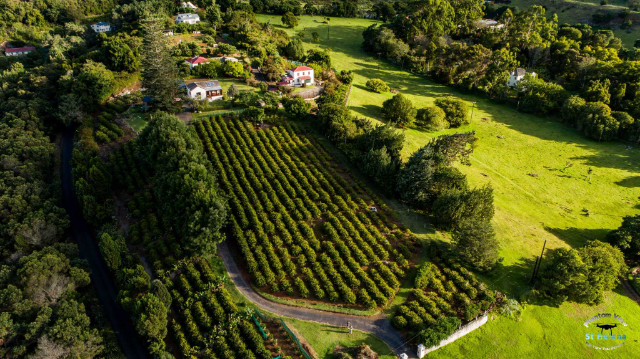 St Helena Koffie - Jamestown | Secret World Trip Planner