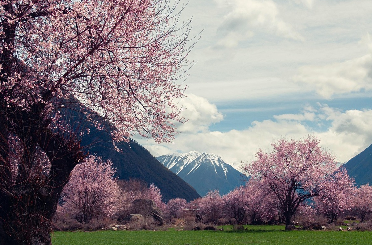 La Valle della Nubra, un paradiso tra Tibet e Kashmir - Leh | Secret World Trip Planner