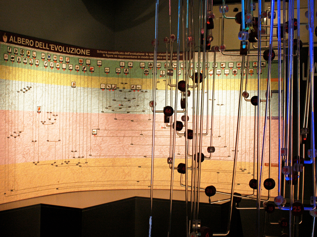 PaleoLab - Geopaläontologischer Park