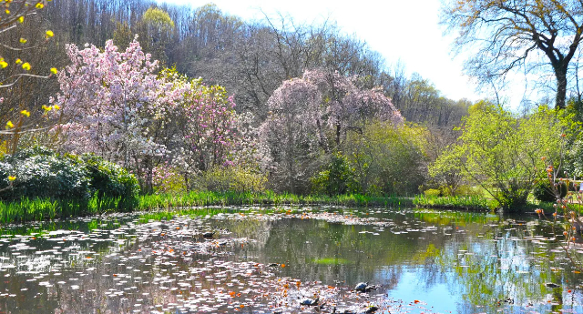 Kopshti i mrekullueshëm Viatori, në Gorizia - Gorizia | Secret World Trip Planner