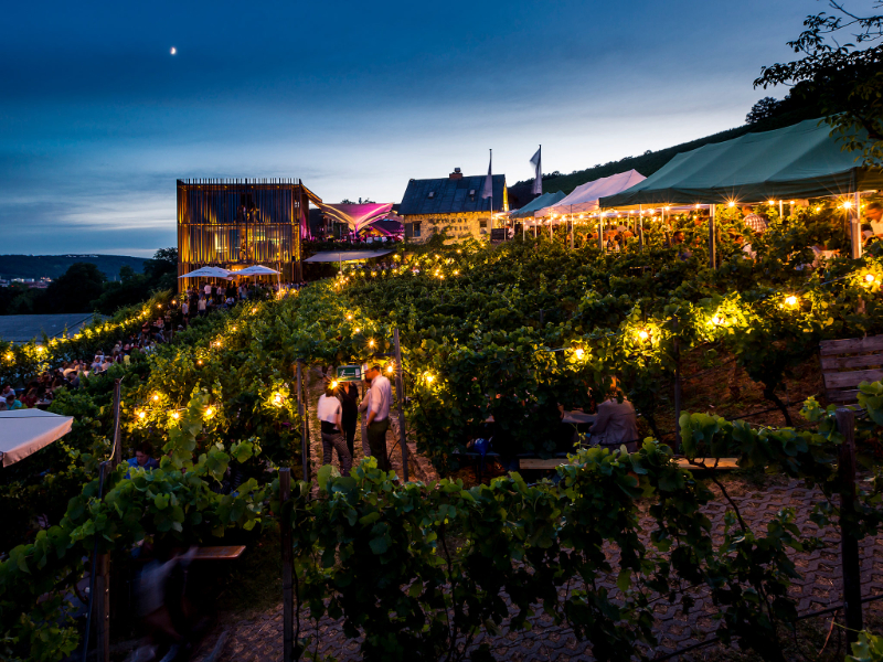 Wurzburg’s Wine Trail - Würzburg | Secret World Trip Planner